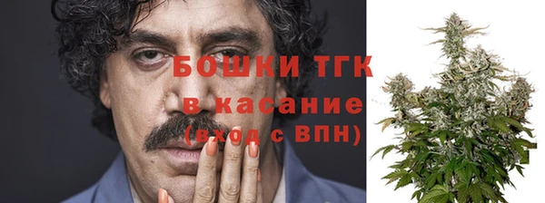 прущие грибы Абаза