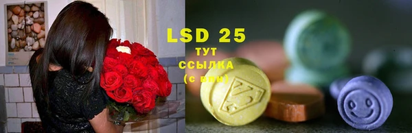 прущие грибы Абаза