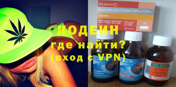 прущие грибы Абаза