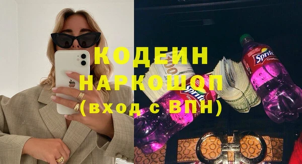 прущие грибы Абаза