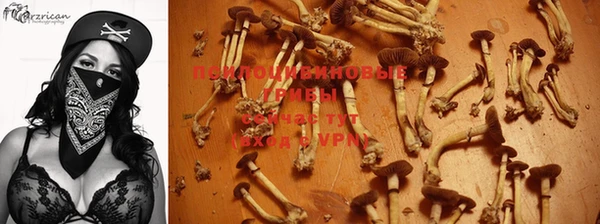 мяу мяу мука Абдулино