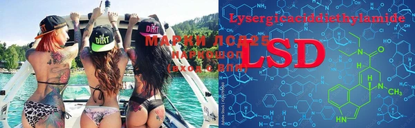 индика Алексеевка