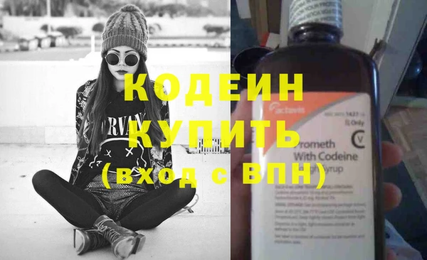 прущие грибы Абаза
