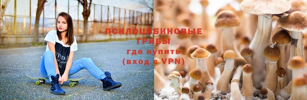 каннабис Абинск