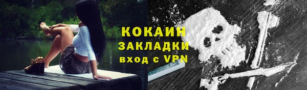 мет Алексин
