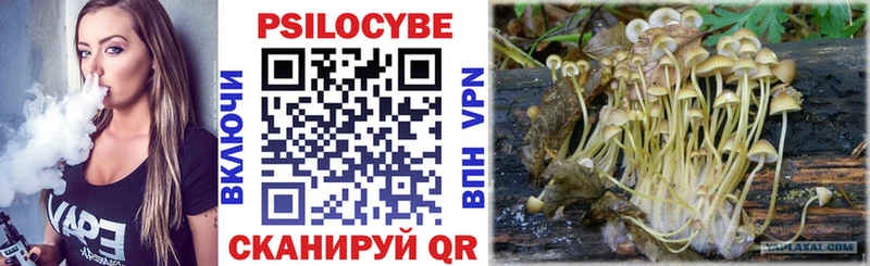 гидра ССЫЛКА Кызыл Галлюциногенные грибы Cubensis