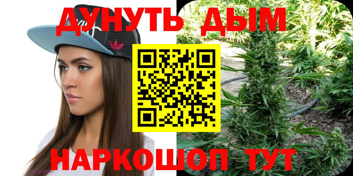 Канабис SATIVA & INDICA Кызыл